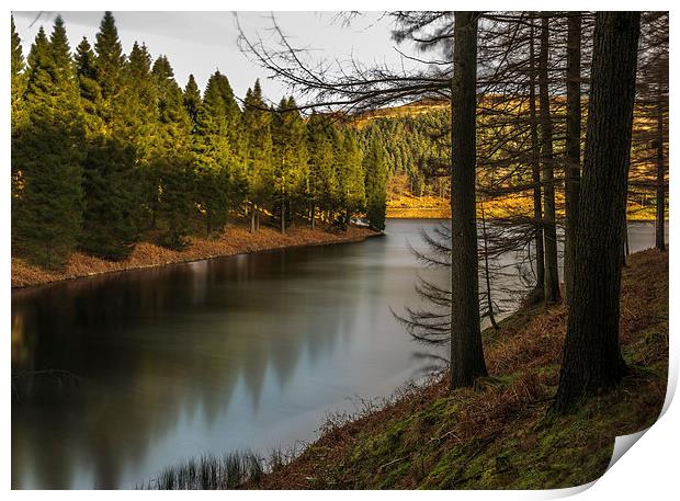 ....just some trees and water Print by Jonathan Parkes