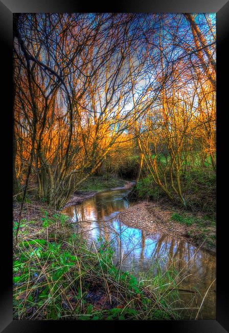 Winter Stream Framed Print by Nigel Bangert