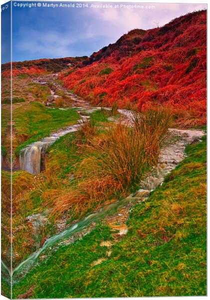 After the Rain - Moorland Streams Canvas Print by Martyn Arnold