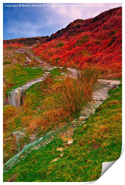 After the Rain - Moorland Streams Print by Martyn Arnold