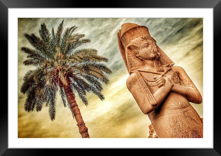 Statue in Egypt Framed Mounted Print by Scott Anderson
