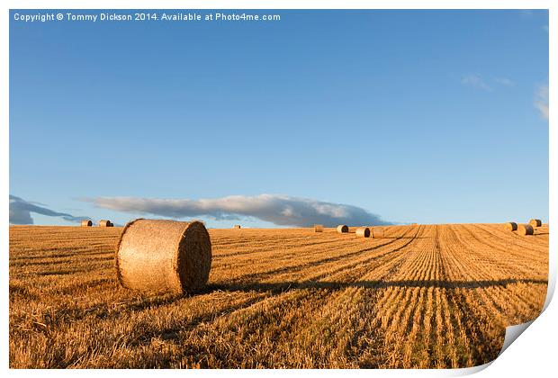 Golden Bounty Print by Tommy Dickson