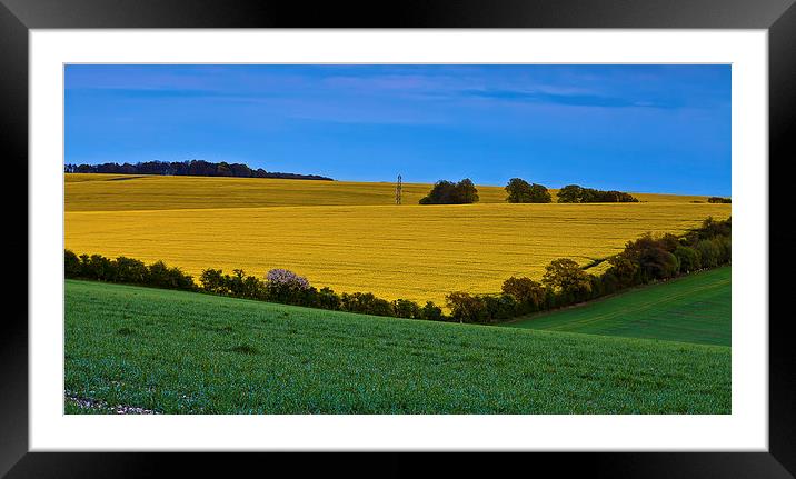 British Colourful field view in Summer Framed Mounted Print by Kat Arul