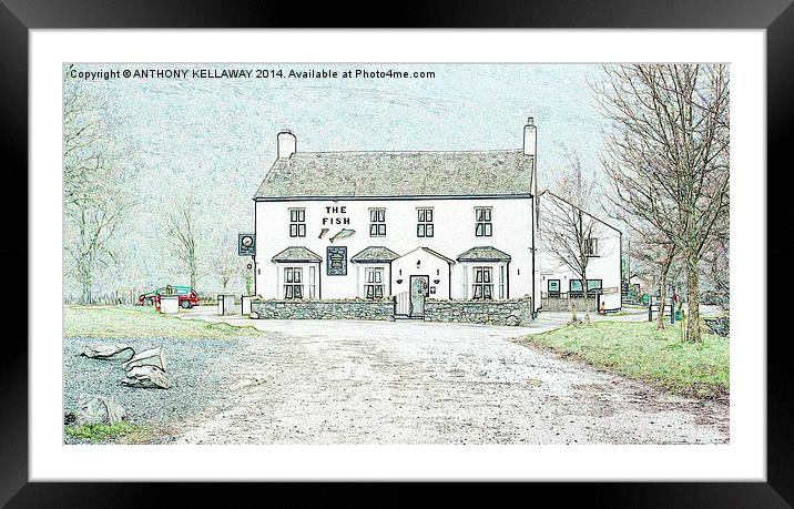 THE FISH INN Framed Mounted Print by Anthony Kellaway