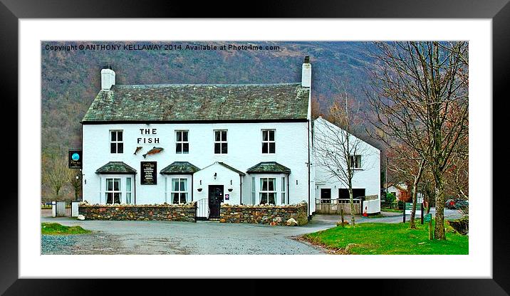THE FISH INN BUTTERMERE Framed Mounted Print by Anthony Kellaway