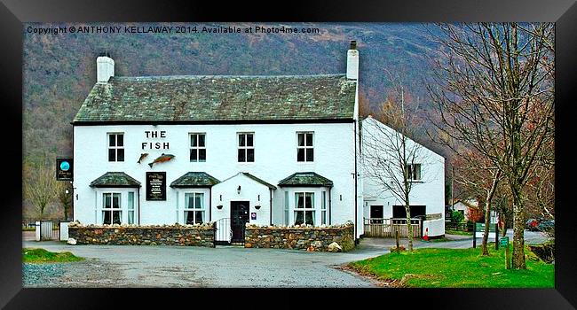 THE FISH INN BUTTERMERE Framed Print by Anthony Kellaway