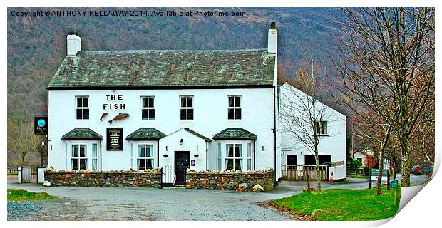 THE FISH INN BUTTERMERE Print by Anthony Kellaway
