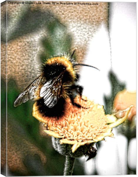 Bee-utiful Canvas Print by Sharon Lisa Clarke