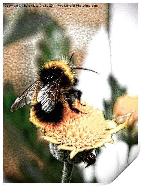 Bee-utiful Print by Sharon Lisa Clarke