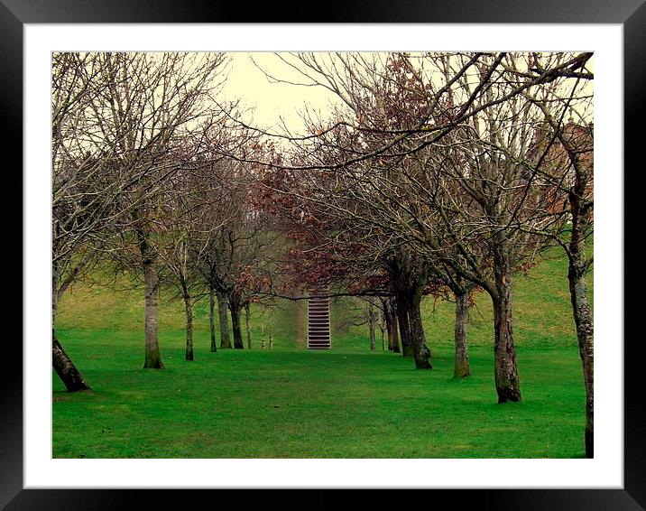 Avenue of Winter Trees Framed Mounted Print by Bill Lighterness