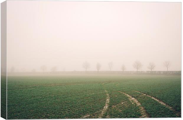 Distant trees beside a field in fog. Bradenham, No Canvas Print by Liam Grant