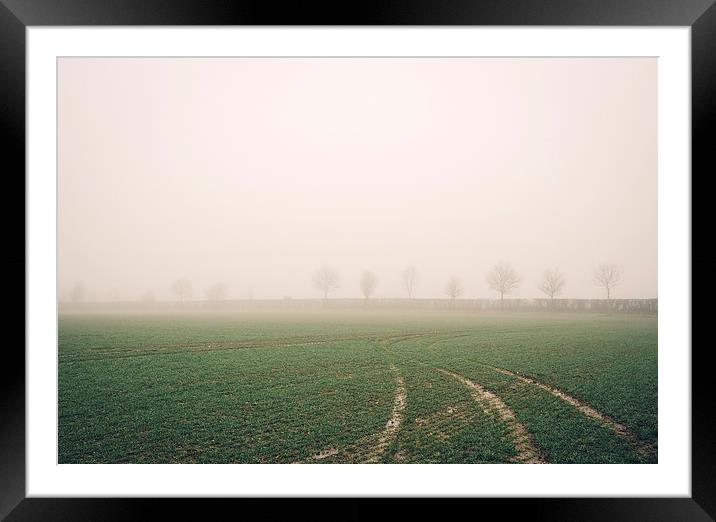 Distant trees beside a field in fog. Bradenham, No Framed Mounted Print by Liam Grant