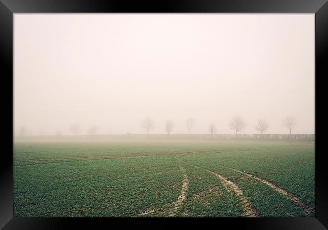 Distant trees beside a field in fog. Bradenham, No Framed Print by Liam Grant