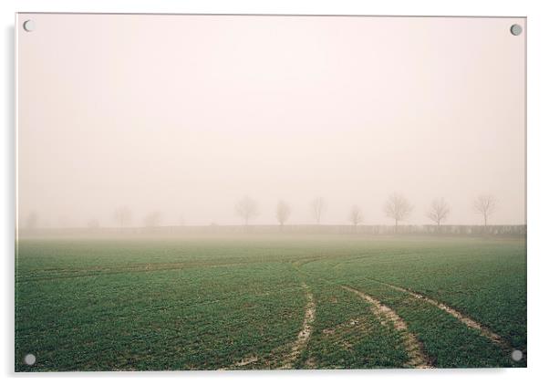 Distant trees beside a field in fog. Bradenham, No Acrylic by Liam Grant