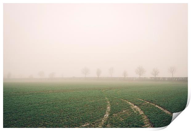 Distant trees beside a field in fog. Bradenham, No Print by Liam Grant