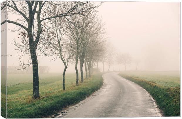 Row of trees beside remote country road in fog. Canvas Print by Liam Grant