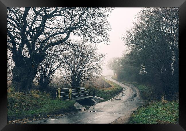 Trees and footbridge beside country road in fog. Framed Print by Liam Grant