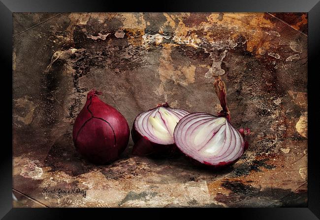 Red Onions Framed Print by Randi Grace Nilsberg