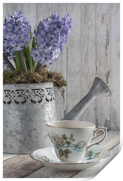 Hyacinth Teatime Print by Ann Garrett