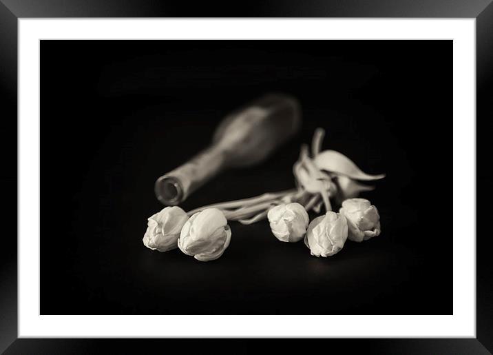 Dead Flat Framed Mounted Print by Paul Want