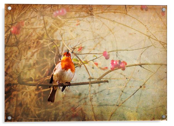 Vintage Songbird Acrylic by Dawn Cox