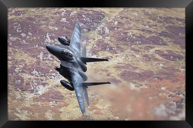 F15 - Eagle Framed Print by Rory Trappe