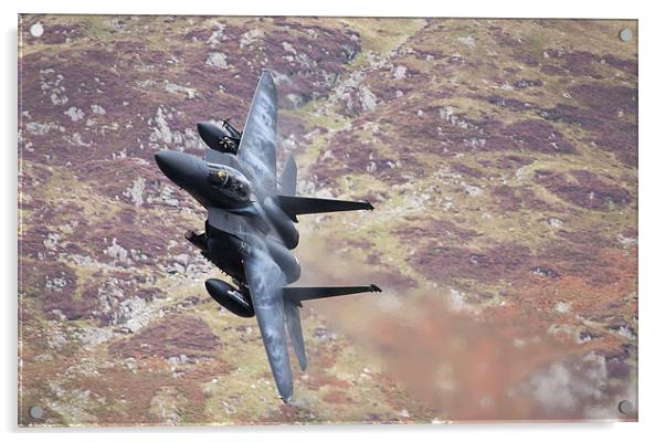 F15 - Eagle Acrylic by Rory Trappe