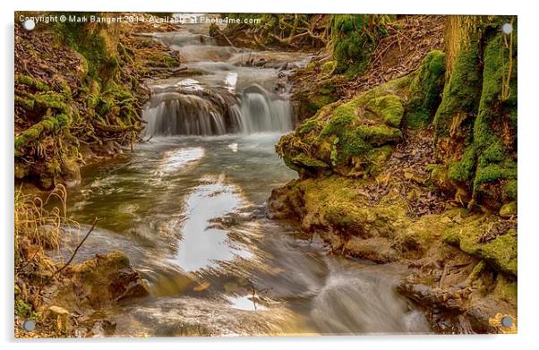 Babbling Brook 3 Acrylic by Mark Bangert