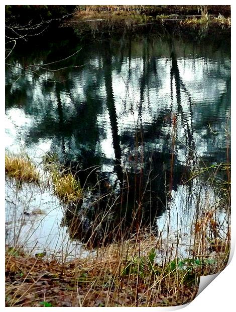 Trees in a Rippled Pond Print by Bill Lighterness