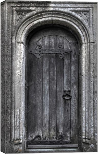 The Door to... Canvas Print by frank martyn