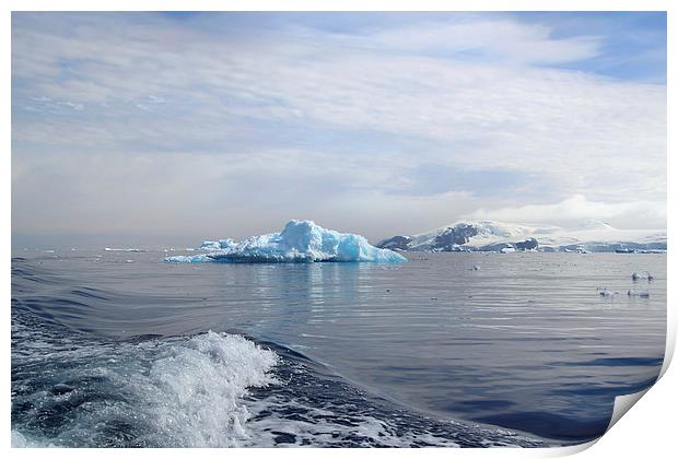 Zodiac Cruisuing on Cierva Cove Print by Carole-Anne Fooks