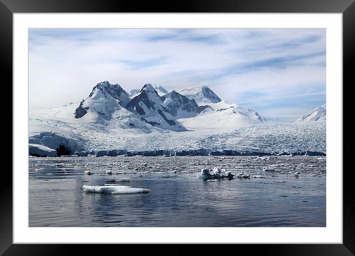 Glaciers in Cierva Cove Antarctica Framed Mounted Print by Carole-Anne Fooks