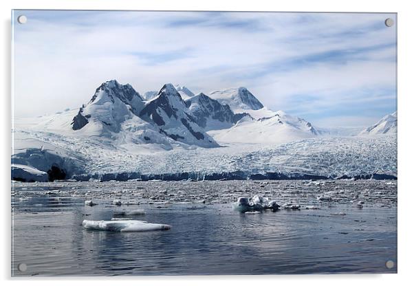 Glaciers in Cierva Cove Antarctica Acrylic by Carole-Anne Fooks