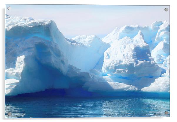 Iceberg Detail Cierva Cove, Antarctica Acrylic by Carole-Anne Fooks