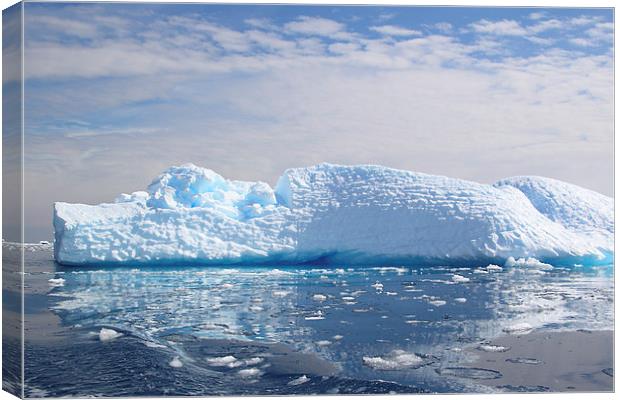 Iceberg in Cierva Cove, Antarctica Canvas Print by Carole-Anne Fooks