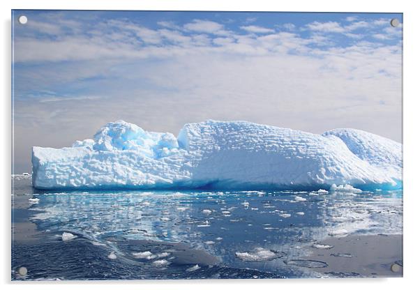 Iceberg in Cierva Cove, Antarctica Acrylic by Carole-Anne Fooks