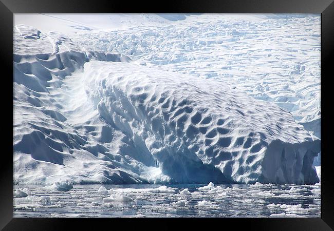 Glacier detail Cierva Cove Antarctica Framed Print by Carole-Anne Fooks