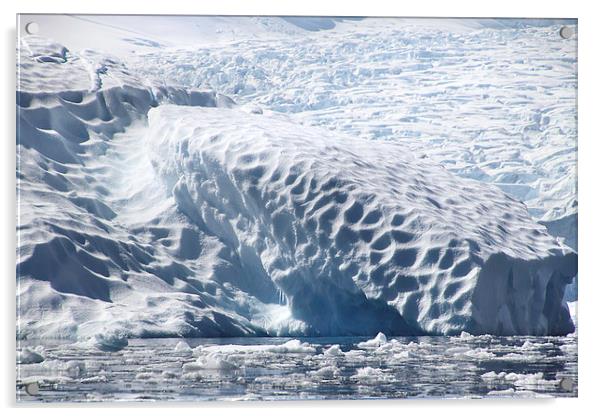 Glacier detail Cierva Cove Antarctica Acrylic by Carole-Anne Fooks