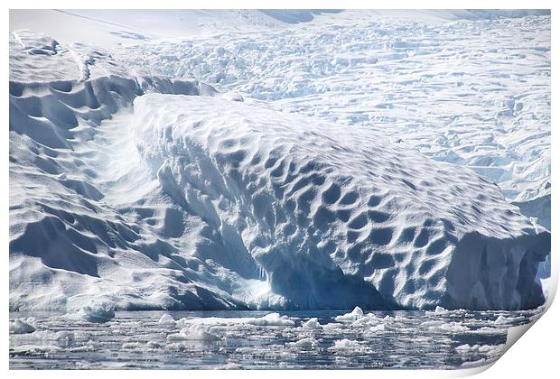 Glacier detail Cierva Cove Antarctica Print by Carole-Anne Fooks
