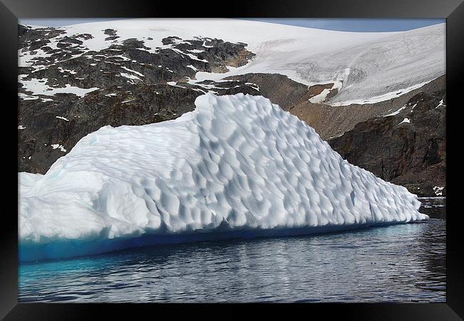 Iceberg Cierva Cove Antarctica Framed Print by Carole-Anne Fooks