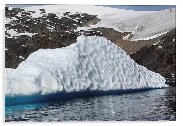Iceberg Cierva Cove Antarctica Acrylic by Carole-Anne Fooks