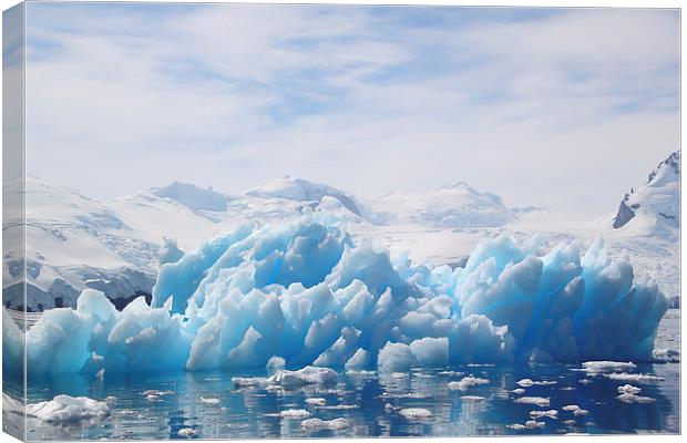 Iceberg Cierva Cove Antarctica Canvas Print by Carole-Anne Fooks