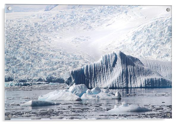 Iceberg Cierva Cove Antarctica Acrylic by Carole-Anne Fooks