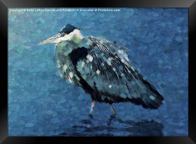 Abstract Great Blue Heron Framed Print by Betty LaRue