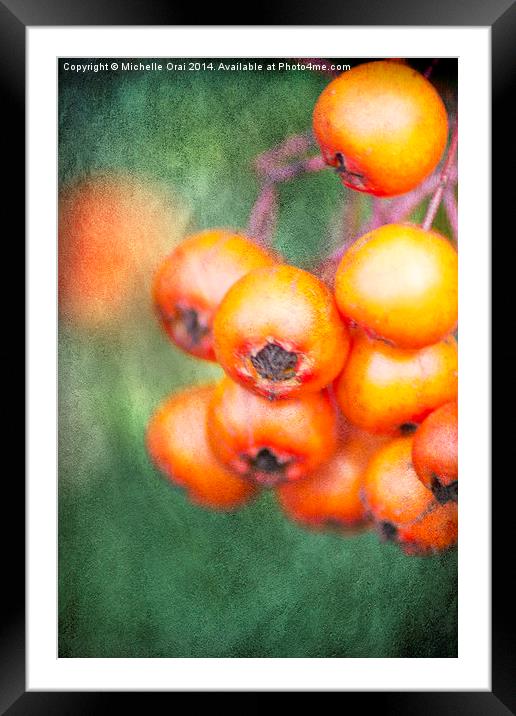 Orange Winter Berries Framed Mounted Print by Michelle Orai