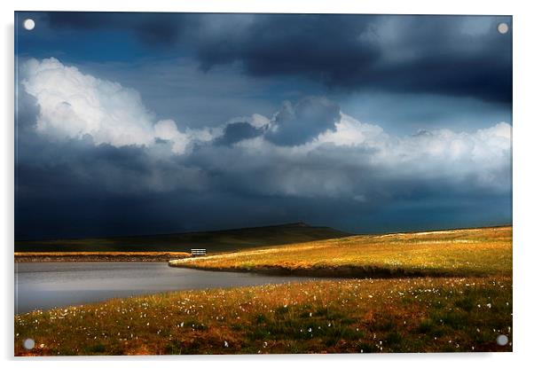 Storm over blackmoss Acrylic by Robert Fielding