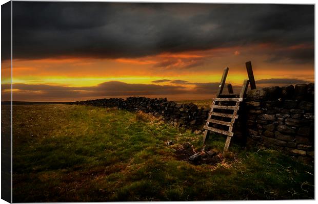 The stile Canvas Print by Robert Fielding