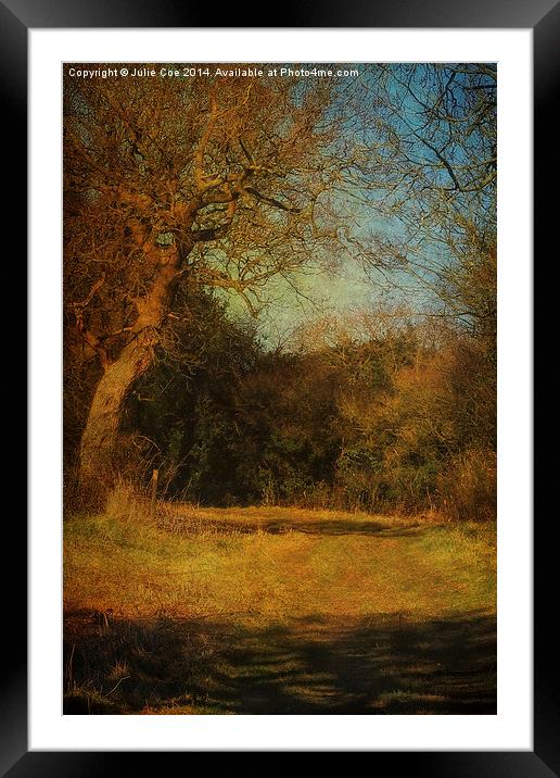 Walking The Countryside Framed Mounted Print by Julie Coe