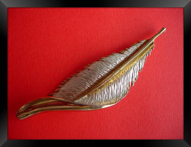 Feather on Red Framed Print by james richmond