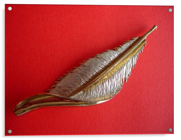 Feather on Red Acrylic by james richmond